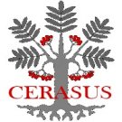 Cerasus Poetry's picture