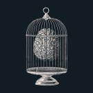 The Bitter Poet's picture