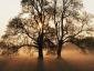 S.Devon164's picture