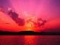 zoe lamie's picture