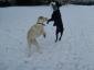 Sally H's picture