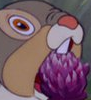 dilquius's picture