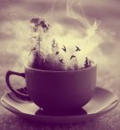 happily_harris's picture