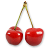 Cherry Cherry